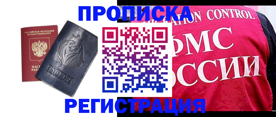 где прописаться в Каменке